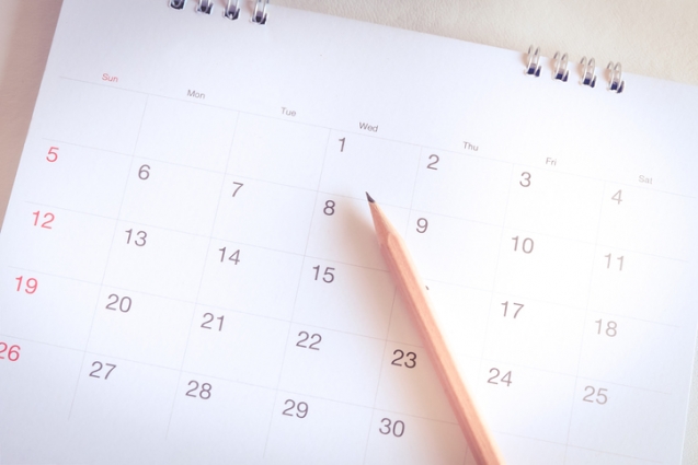 agenda Vignette