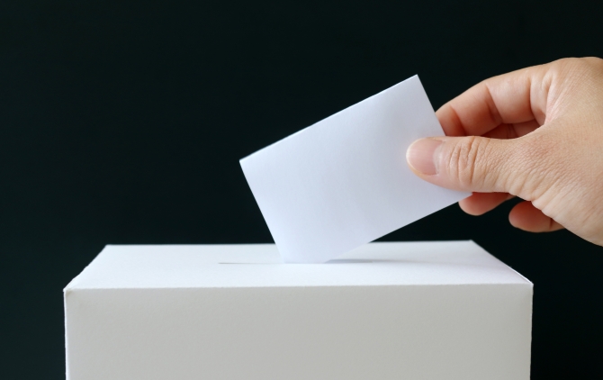 election Vignette